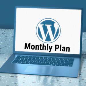 WordPress Website Monthly Care Plan