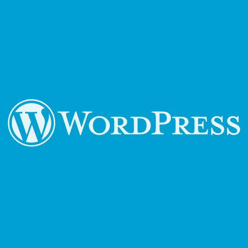 WordPress Website Servicing Package