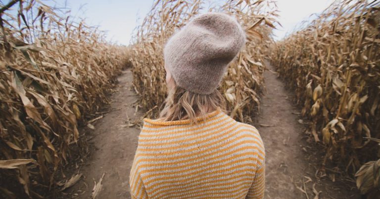 Anxious About Decision Making? You Never Start From Zero. Photo by Burst on Unsplash