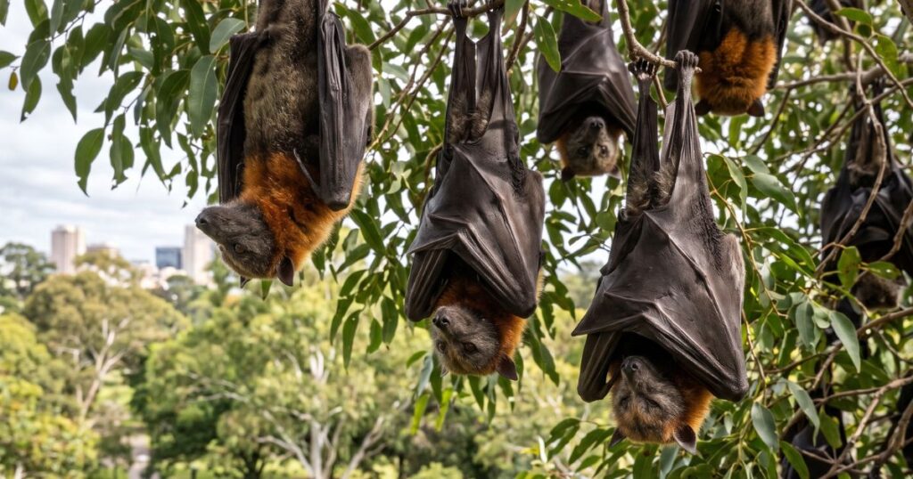 Get found, get chosen, get paid. Reflections for small businesses by Steve Davis, inspired by Thomas Nagel's, what is it like to be a bat
